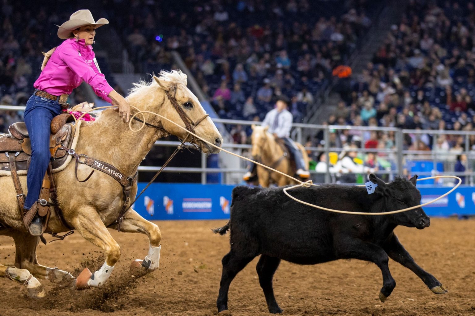 HOUSTON LIVESTOCK SHOW AND RODEO™ ANNOUNCES UPDATES TO 2023