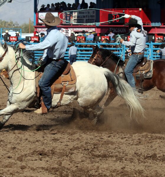 Team Roping Ben Folsom and Chance Moldenhauer 6.3 sec Photo Kent Soule