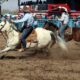 Team Roping Ben Folsom and Chance Moldenhauer 6.3 sec Photo Kent Soule