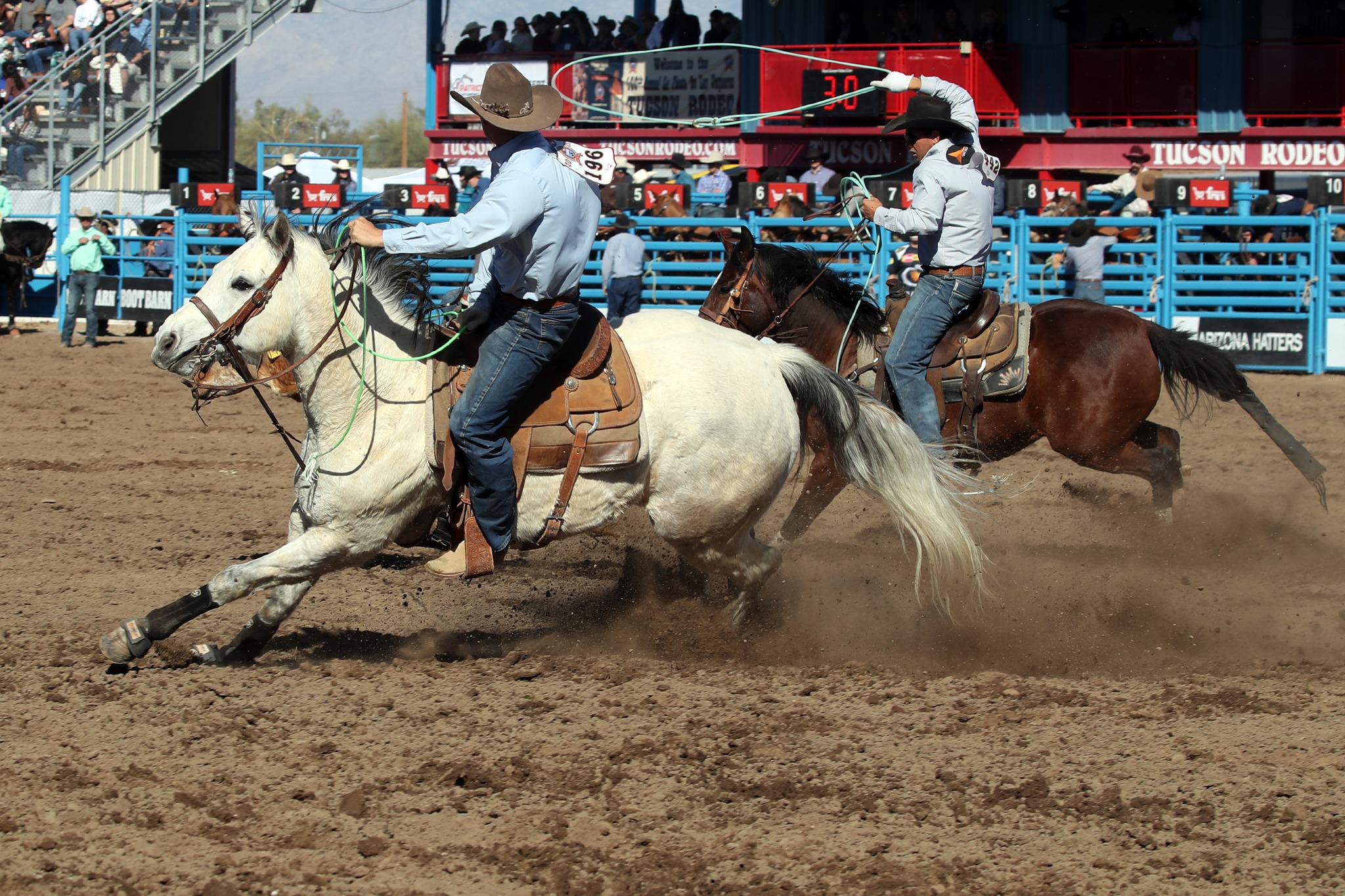 Team Roping Ben Folsom and Chance Moldenhauer 6.3 sec Photo Kent Soule